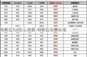 特斯拉fsd怎么收费-特斯拉收费标准