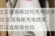 比亚迪海豚如何充电结束,比亚迪海豚充电结束,可以直接拨枪吗