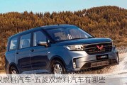 五菱双燃料汽车-五菱双燃料汽车有哪些