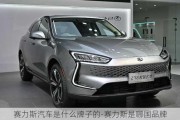 赛力斯汽车是什么牌子的-赛力斯是哪国品牌