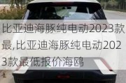 比亚迪海豚纯电动2023款最,比亚迪海豚纯电动2023款最低报价海鸥