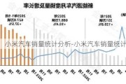 小米汽车销量统计分析-小米汽车销量统计分析