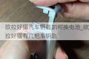 欧拉好猫汽车钥匙如何换电池_欧拉好猫有几把车钥匙