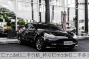 特斯拉model3二手价格_特斯拉model3二手多少钱