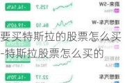 要买特斯拉的股票怎么买-特斯拉股票怎么买的