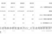 比亚迪海豚参数配置表2022_比亚迪海豚新能源汽车参数