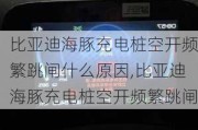 比亚迪海豚充电桩空开频繁跳闸什么原因,比亚迪海豚充电桩空开频繁跳闸