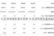 比亚迪海豚配置及参数,比亚迪海豚配置参数配置