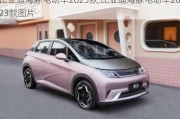 比亚迪海豚电动车2023款,比亚迪海豚电动车2023款图片