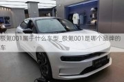 极氪001属于什么车型_极氪001是哪个品牌的车