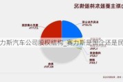 赛力斯汽车公司股权结构_赛力斯是国企还是民企