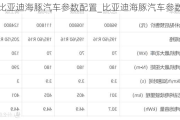 比亚迪海豚汽车参数配置_比亚迪海豚汽车参数