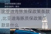 比亚迪海豚质保政策条款,比亚迪海豚质保政策条款是什么