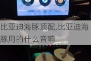 比亚迪海豚顶配,比亚迪海豚用的什么音响