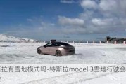 特斯拉有雪地模式吗-特斯拉model 3雪地行驶会怎么样