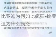 比亚迪为何如此疯狂-比亚迪为什么疯涨