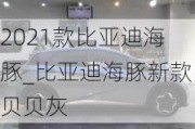 2021款比亚迪海豚_比亚迪海豚新款贝贝灰