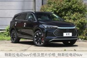 特斯拉电动suv价格及图片价格_特斯拉电动suv