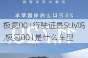 极氪001行驶证是SUV吗,极氪001是什么车型