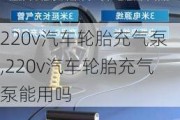 220v汽车轮胎充气泵,220v汽车轮胎充气泵能用吗