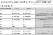 长安汽车2022年年报pdf-长安汽车2022年年报营业利润增长率