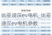 比亚迪汉ev电机_比亚迪汉ev电机参数