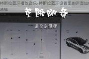 特斯拉蓝牙播放音乐-特斯拉蓝牙设置里的声音如何选择