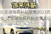 比亚迪海豚补贴政策2023西安_比亚迪海豚补贴政策2023