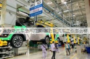 赛力斯汽车生产厂家-赛力斯汽车工作怎么样