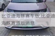 比亚迪海豚赛车版,比亚迪海豚赛道版消息