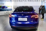 特斯拉suv30万左右电动汽车-特斯拉30多万车是哪款