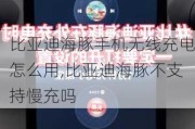 比亚迪海豚手机无线充电怎么用,比亚迪海豚不支持慢充吗