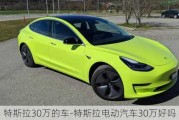 特斯拉30万的车-特斯拉电动汽车30万好吗