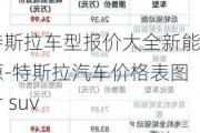 特斯拉车型报价大全新能源-特斯拉汽车价格表图片 suv