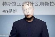 特斯拉ceo叫什么,特斯拉ceo是谁