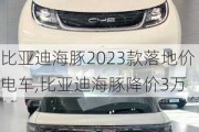 比亚迪海豚2023款落地价电车,比亚迪海豚降价3万