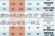 唐dmi和dmp区别_唐dmi跟dmp电池一样么