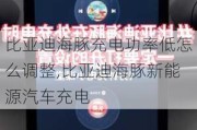 比亚迪海豚充电功率低怎么调整,比亚迪海豚新能源汽车充电