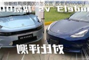 特斯拉和极氪001怎么选_极氪和model3