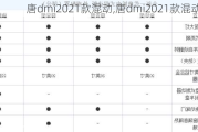 唐dmi2021款混动,唐dmi2021款混动参数