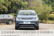 比亚迪海豚2022年新款式测评,比亚迪海豚2022年新款式测评