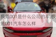 极氪001是什么公司的车,极氪001汽车怎么样