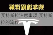 买特斯拉注意事项,买特斯拉的流程