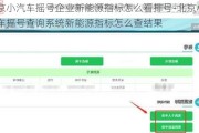 北京小汽车摇号企业新能源指标怎么看排号-北京小汽车摇号查询系统新能源指标怎么查结果