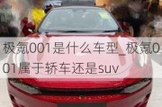 极氪001是什么车型_极氪001属于轿车还是suv