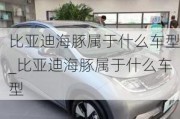 比亚迪海豚属于什么车型_比亚迪海豚属于什么车型