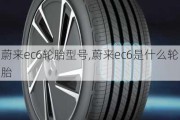 蔚来ec6轮胎型号,蔚来ec6是什么轮胎