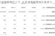 比亚迪海豚降价三千_比亚迪海豚落地价是多少