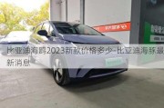 比亚迪海鸥2023新款价格多少-比亚迪海豚最新消息