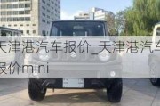 天津港汽车报价_天津港汽车报价mini